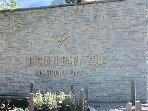 Lincoln Park Zoo - Zoo With Us