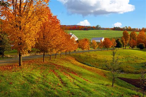 A Cannabis Connoisseur's Foliage Tour in Vermont • Zenbarn Farms Blog