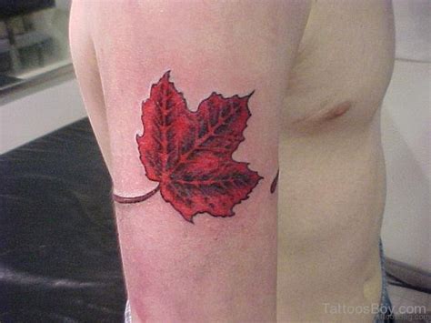 62 Attractive Leaves Tattoos For Shoulder