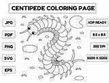 Centipede Animal Coloring Page For Kids Graphic By Abbydesign  sketch template