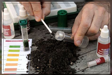 Using Soil Improver - Al Ardh Alkhadra