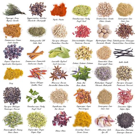 Spices set isolated on a white background stock image | Spice set ...