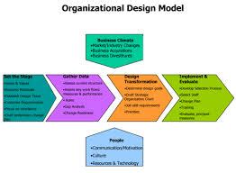 Define Organization Design - Assignment Point