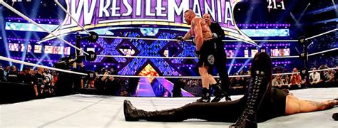 REVIEW: Is The WWE ‘Undertaker: The Streak 21-1’ DVD Coffin Worth ...