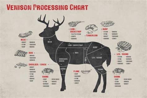 Venison Deer Butcher Processing Chart Laminated 24x36 | Etsy