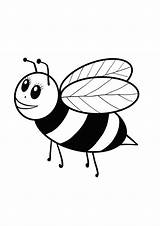 Lebah Mewarnai Abeja Kindergarten Bumble Tk Colorare Paud Colouring  sketch template