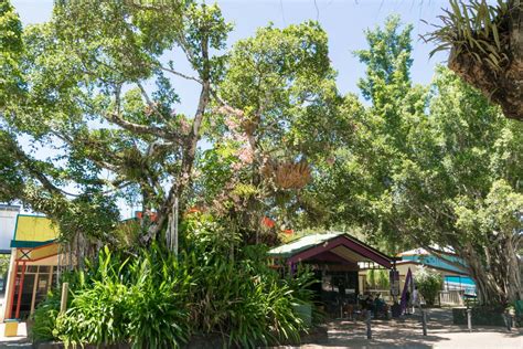 Kuranda: The Village In The Rainforest | Explore Shaw