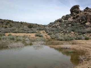 Mojave National Preserve