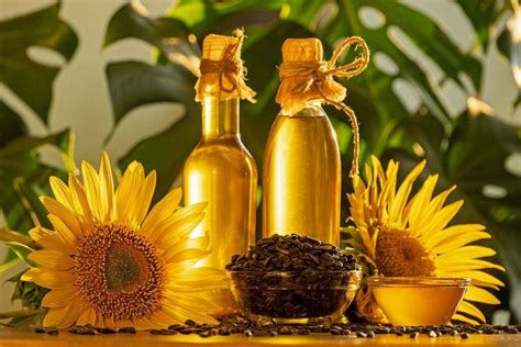 High Oleic Sunflower Oil: Nutrition Facts & Benefits Nutrition Advance