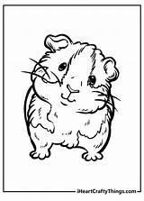 15 Guinea Pig Coloring Pages 100% Free Printables sketch template