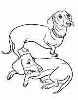 Weiner Dog Coloring Page At GetColoringscom  Free Printable Colorings sketch template