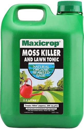 Lawn Moss Killers - The Best Moss Treatment Products in 2021