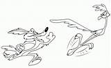 Road Runner And Coyote Coloring Pages sketch template