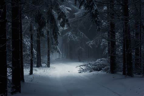 Dark Winter Night Wallpapers - Wallpaper Cave