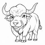 Water buffalo coloring Page Lulu Pages sketch template