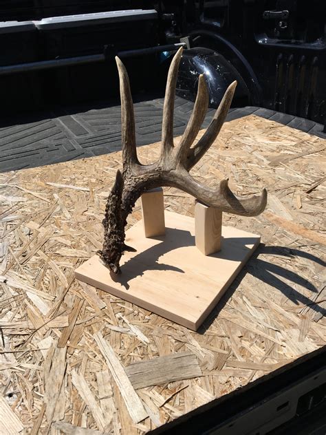 Antler display | Shed antler display ideas, Antler display, Antlers decor