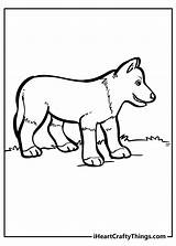 Grey Wolf Pup Coloring Pages sketch template