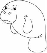 Manatee coloring Pages  Free Coloring sketch template