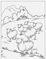iqranamuslim صور للتلوين  Cute coloring Pages Bible sketch template