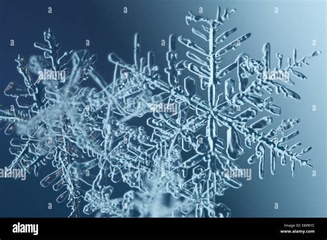 Extreme close-up of snowflakes Stock Photo - Alamy