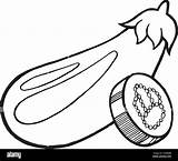 Eggplant coloring page Drawn Illustration Stock Vector Image & Art  Alamy sketch template