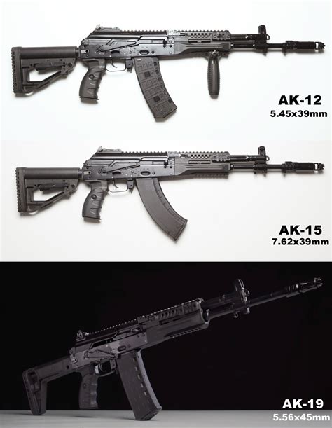 Suggestion, AK-12 variants as a new weapon or blueprint for future ...