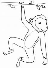 Hanging Monkey Printable Template  Free Papercraft Templates sketch template