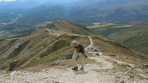 Hiking an Often “Overlooked” Trail in Denali Park - Alaska Magazine