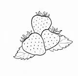 Fruit Coloring Strawberry Pages Clipart Drawing Outline Small Kids  sketch template