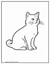 20 Cat Coloring Pages  Free PDF Printables sketch template