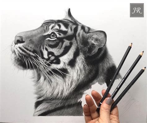 Wild Animals Pencil Drawing Images - Wild animal print of an original ...