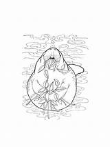 Manatee coloring Pages sketch template