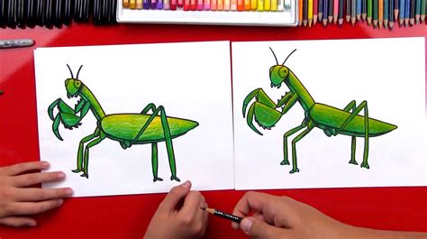 How To Draw A Praying Mantis - Art For Kids Hub