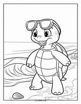 120  Coloriages De tortues Pour Enfants Et Adultes PDF Gratuits à sketch template