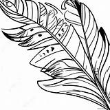 Colorful Turkey Feather Coloring Page 33014 26114 sketch template