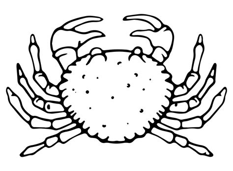 Crab line icon, Seafood vector illustration. 8605363 Vector Art at Vecteezy