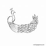 50 Peacock Coloring Pages  ColoringPagesOnlycom sketch template