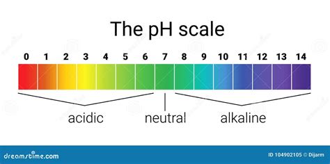 Ph Scale. Infographic Acid-base Balance. Scale for Chemical Analysis Acid Base Stock Vector ...