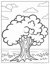Tree Coloring Pages Free Printable  FREE A Z sketch template