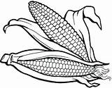 Corn Coloring Pages Printable PDF  Coloringfoldercom sketch template