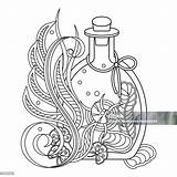 Bottiglia Con Una Pozione Magica Disegno Da Colorare Mare Allinterno  sketch template