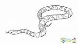 Realistic Printable Snake Coloring Pages sketch template