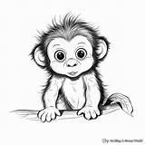 Chimpanzee Coloring Pages  Free & Printable sketch template