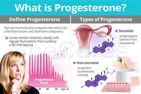 What is Progesterone: Definition & Types | SheCares