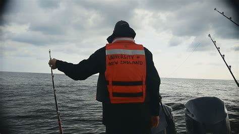 Searching for sharks: UNE researchers track, study sharks in Maine waters | newscentermaine.com