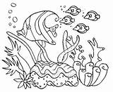 Drawing Underwater Coral Reef Sketch Coloring Page sketch template