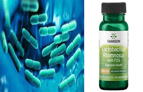 Lactobacillus Rhamnosus - Probiotics with Powerful Benefits And Uses