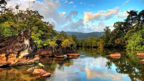 Madagascar Rainforest Wonderland Package - AAA Travel Africa