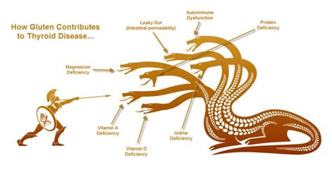 The Thyroid Summit - Why You Should Watch This Free Event | Gluten-Free Society