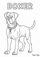 Boxer Coloring Pages Free Printable PDFs  WakeTheKids sketch template